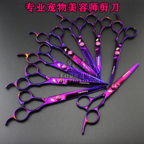   Pet grooming professional scissors Dog shearing device Dog scissors small household safety straight shears 6 inches