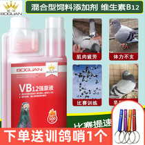 Wrestling pigeon medicine VB12 strong Hao liquid competition acceleration complement Energy multi-level competition energy liquid blood oxygen hormone Boguan pigeon medicine