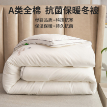 Silk cotton quilts by 8-winter quilts by 8 catties of cotton by full cotton winter cotton by double thickened warm-one-five quilt core 220x240