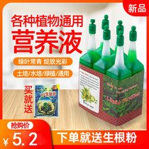 Green hydroponic plants Universal nutrient solution Flower pots Plant flowers fertilizer Indoor flowers Rich bamboo green basket Green leaves