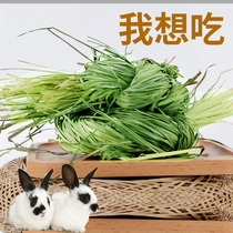 Chincho pig super fruit tree grass hay pet rabbit snack grinding stick 500g buy 2 get 1 free