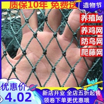 100 meters poultry chicken net chicken net breeding net Vegetable garden net Fence net fence around pheasant net Anti-chicken net Nylon net