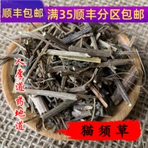 Tongrentang quality Chinese herbal medicine cat grass 50g can be powder-free smoked full