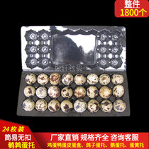 24 non-buckle simple quail egg tray disposable plastic egg packaging box spot
