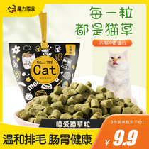 Cat grass sheet grain ready-to-use to deize hair balls to fatter into young kitty snacks Nutritional Cat Mint Biscuit Mill Tooth