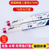 American Langfeng Peak Fish Tank Lamp Lighting T8 Tube Water Grass Parrot Aranor Special Lamp 6700K 10000K