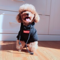 Autumn and winter cool drip INS Tide brand the same plus velvet padded vest VAT VIP than bear fighting hooded pet clothes