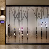 Frosted anti-peep waist line hollow transparent electrostatic film glass film Paper Office Club window-simple Forest