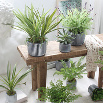 Nordic Emulation Green Plant Potted lavender Bonsai Bonsai Pendulum Pieces Office Shop Home Tabletop Decorative plants