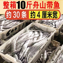 Whole box 10kg Zhoushan belt fish fresh frozen special grade East China Sea seafood whole deep sea fresh belt fish commercial wholesale