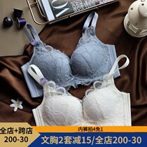 Japanese Modal small chest gathering bra no steel ring girl cute underwear adjustment type collection fresh white