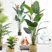 High simulation Nordic plant simulation banana large landing plant pot bird of paradise simulation traveler banana