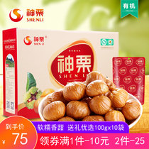 Shenchestnut instant chestnut kernel soft waxy sweet nut snack gift box Chengde specialty 1kg