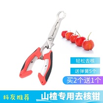 New hawthorn icing sugar hyacinth special de-nucleator stainless steel scissor style deseed to go nuclear pliers shears tool