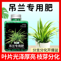 Chlorophytum fertilizer meat fertilizer leaf green radish particles slow-release fertilizers home pot common compound fertilizer