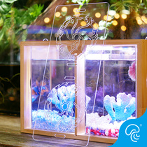 Bucket Fish Cylinder Head Sub Double G Vat Special Anti Springboard Seclusion Plate Protection Plate Acrylic Moon Light Fish Tank Isolation Plate