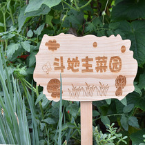 Vegetable field plant label wooden insert outdoor notice sign sign kindergarten vegetable garden wooden card customization