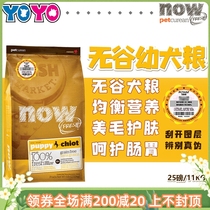 Yoyo Pet 100 Gestas NOW young dog food dog food 25 lbs duck meat turkey salmon nutrition low acumen