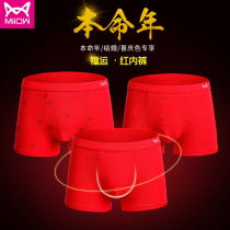 3-pack Cat Man big red this year pure cotton boxer underwear middle waist wedding cotton shorts headings youth