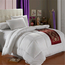 Hotel quilt core air conditioned by feather velvet students were heated by summer cool to keep warm winter by spring and autumn