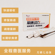 Healthy power Intestinal bacteria Rabbit dog Cat Guinea pig Chinchilla with hamster to regulate gastrointestinal diarrhea Dog D44