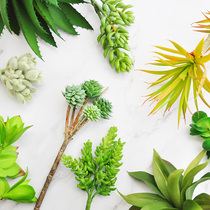 Simulation multi-meat combination small plant home ornaments fake multi-meat potted set interior decoration F594