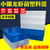 Plastic basket for crayfish turnover basket special small-eye lobster seedling basket storage basket fruit basket aquatic product box