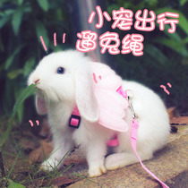 Rabbit traction rope Rabbit Rope anti-break-free walking rabbit artifact chain Rabbit Rabbit cute supplies clothes