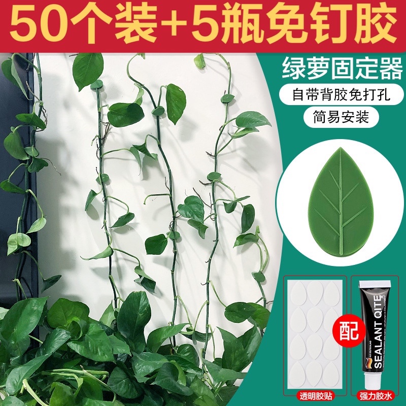 Green Plant Clips with Adhesive Hooks for Hanging Plants, Wall-Mounted Plant Fasteners, Flower Clips, Rose Vine Climbing Hooks, and Clips Green Plant Clips with Adhesive Hooks for Hanging Plants, Wall-Mounted Plant Fasteners, Flower Clips, Rose Vine Climbing Hooks, and Clips