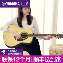 Yamaha guitar beginner full board folk guitar boys special girl LL16 LL6 vibration TA