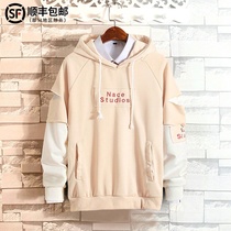 Tide brand sweater men Spring and Autumn ins trend leisure long sleeve loose size couple hooded jumper coat