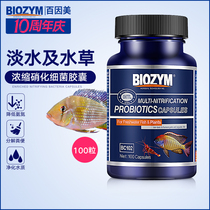 100 Inamelized Nitrobacteria Capsule Water Group Digesting Dry Powder Bacteria Nitrobacteria Water Purification Water Quality Stabilizer