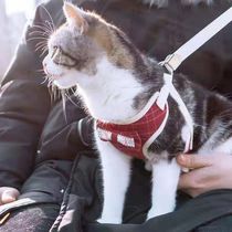 Cat traction rope vest style chest strap to go out walking Kittens Cat chain