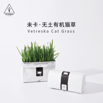 Unwell soilless paper bag cat grass unstuck Vetreska soilless organic cat grass about 80g bag