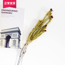 (Mountain Tree) Yellow Green Imports Yonsei Flower Dried Flower Branches Home Vases matching Furnishing Decorative Foliage