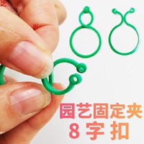  Horticultural ties 8 words with nail-free strapping of ring buckle climbing winding plastic vines to bind the green loo flowers
