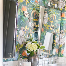 British imported cornson wallpaper wallpaper African Baboon monkey hornbill chameleon 109 1006 1005 1007