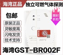  Bay Bay GST-BR002F gas detector equipment alarm with 220V plug gas probe Hot sale