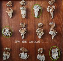 Le Zuo Yunnan Wenshan Sanqi 60 heads are smaller than 30 heads can play Sanqi powder 200g