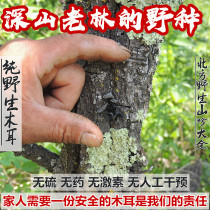 2021 New Picking Pure Natural Northeast Daxinganling Pure Wild Auricularia auricula 250g Pure Natural Mountain Autumn Ear