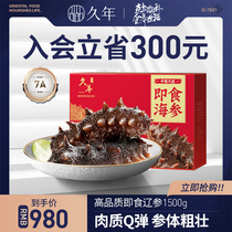  Jiuni 7A Dalian wild ready-to-eat sea cucumber fresh 1500g sea cucumber flagship store Liaoshen gift box for pregnant women non-dry goods