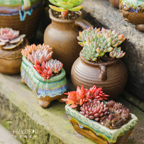 Heidis garden succulent plant fleshy potted indoor balcony office Four Seasons Viewing leafy green plants