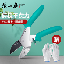 Zhang Koizumi Flower Cut and cut branches Pruning Pruning of fruit and vegetables pruning Nursery Garden Cut anti-slip handle fruit branches Cut and grass clippings