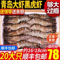 Black Tiger Shrimp Large Shrimp Fresh Tiger Peel Shrimp Large Seafood Aquatic Fresh Frozen Shrimp Sea Shrimp Deep-sea Tiger Prawn 20 Only