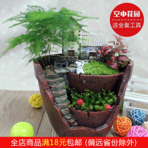 Explosive creative aerial garden moss micro-landscape set office desktop green plant potted DIY material package