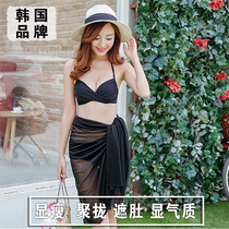Bikini hot spring swimsuit womens three-piece Korean small breasts gather sexy swimwear belly slim blouse swimsuit