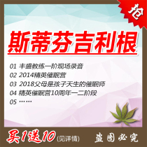 Stephen Gilligan Elite Hypnosis Camp Become Your Own Hypnosis Master Child Born Hypnotist