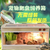 Pet reptile box tortoise incubator hedgehog lizard reptile winter incubator feeding box