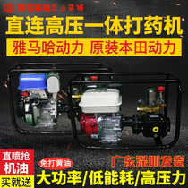 Honda Petrol Beating Machine High Pressure Agricultural New Yamaha Diesel Nebulizer Straight Up Pump Fruit Tree Beating Pesticide