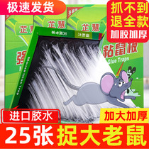 25 powerful rat stickler with big sticky rat board for mousetrap with rat gum exorcine mouse rodent mouse Kstar for home
